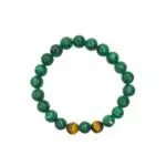 Bahar-e-Himmat - Image 2